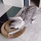 Cat Toy Durable and flexible cat scratching toy